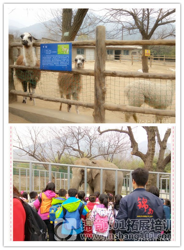 美中教育2017动物园植树活动(图3)