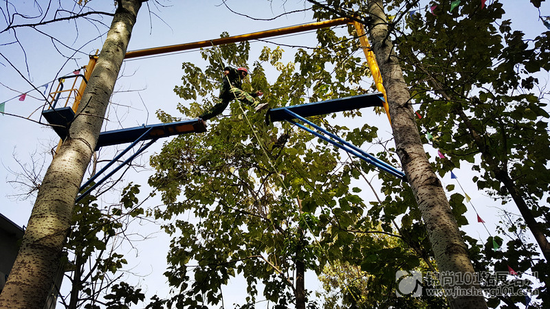 中国电信团队拓展培训D7期(图7)