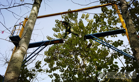 中国电信团队拓展培训D7期(图6)