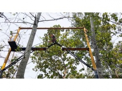 某全球知名保健品企业2016年拓展咨询