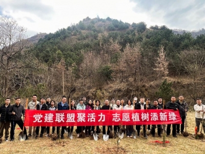 中建八局党建联盟植树活动